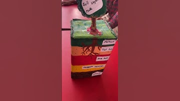 Layers of soil |Soil Profile | Layers of soil | Learn with fun | Play with science | science |