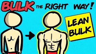 What is Lean Bulking? | Build Muscle Without Getting Fat