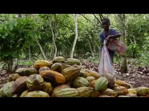 Kinderarbeid - educatieve film 2016 | UNICEF