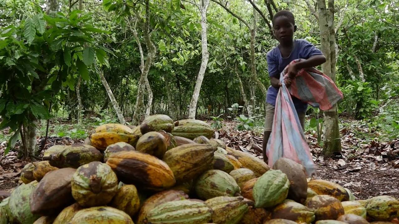 Kinderarbeid - educatieve film 2016 | UNICEF