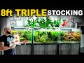 Finally Adding Fish TO ALL TANKS!! 8FT TRIPLE AQUARIUM COMPLETE