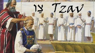 #25a Tzav - D&#39;var Torah with Deeper Understanding into the SACRIFICES and the PRIESTS of ISRAEL!