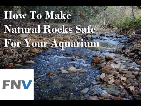 How to: SAFELY Collect Aquarium Decor ( aquascape materials)