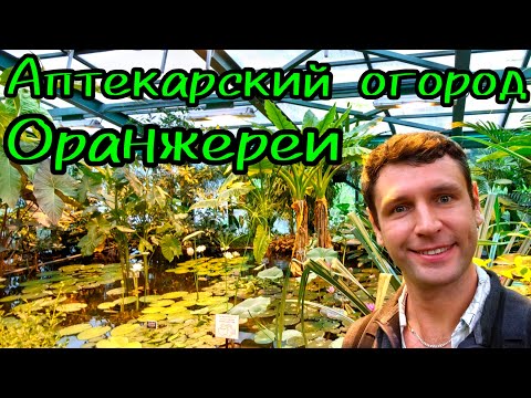Аптекарский огород / Обзор Оранжереи в Ботаническом саду в Москве