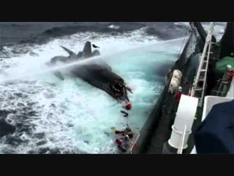 Video: Japan Herontwerp Antarktiese Walvisjag Na Die Uitspraak Van Die VN-hof