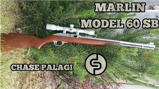 Marlin model 60 SB .22 Rifle Review
