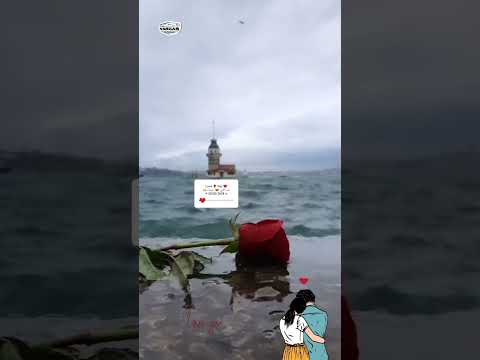 Wadih Mrad Helweh El Douniah 