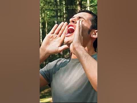 Нападение акулы в Египте. Владимир попов - YouTube
