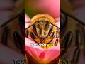 The Dark Secrets of Flower: Mind Control and Addiction! #shorts #bees #viral