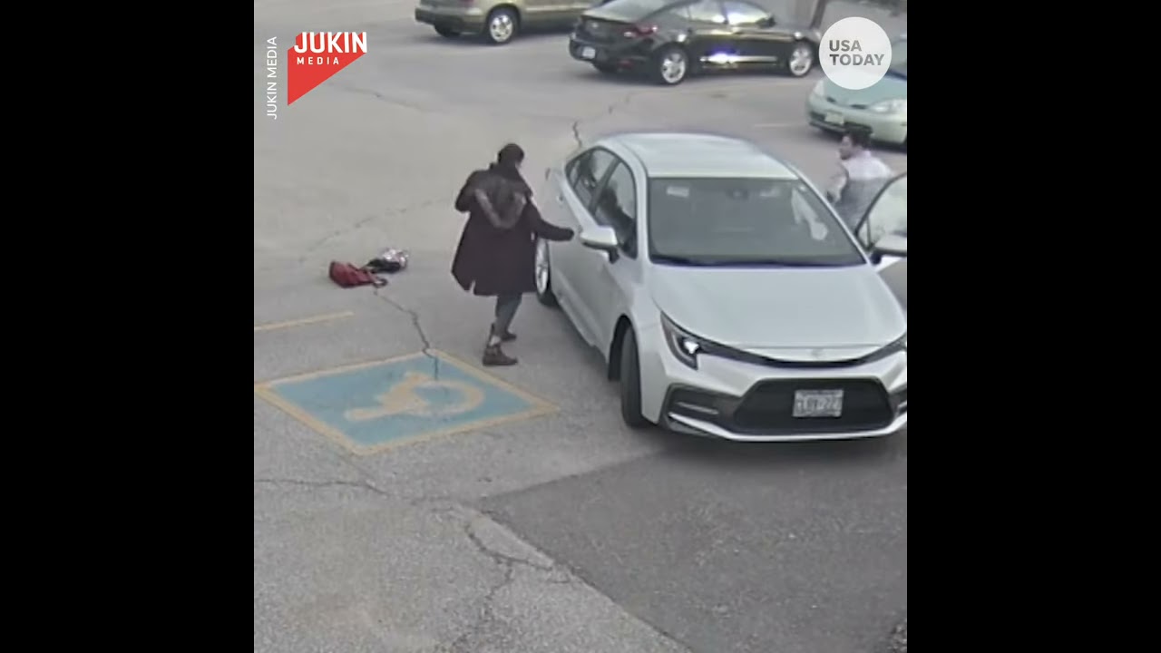 Protective Goose Attacks Woman Walking Into Work USA TODAY