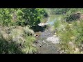 Exploring Faerie Glen Nature Reserve, Pretoria✔