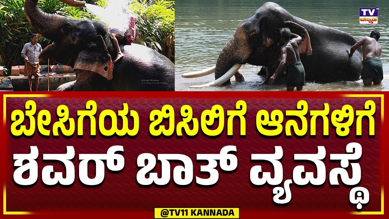 Shower bath system For elephants | ಬೇಸಿಗೆಯ ಬಿಸಿಲಿಗೆ ಆನೆಗಳಿಗೆ ಶವರ್ ಬಾತ್ ...
