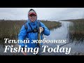 Ловля щуки на теплых жабовниках - Fishing Today