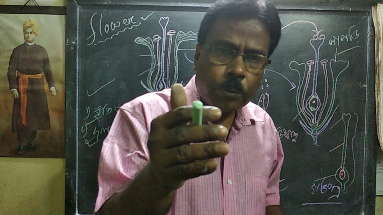 LSC, CLASS- VII, DISCUSSION ON FLOWER BY BABLU KR BISWAS