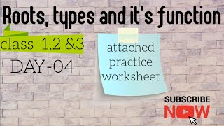 Roots, types and functions