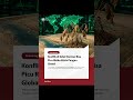 Konflik di Selat Hormuz Bisa Picu Risiko Krisis Pangan Global