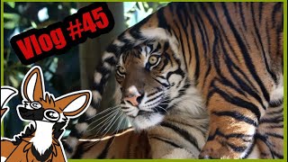 The Zoo Vlog #45