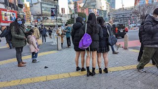 ❗️テレビで紹介された#ライブカメラ LIVE】Tokyo Shinjuku JR Live Cam東京 新宿 鉄道 ライブカメラ