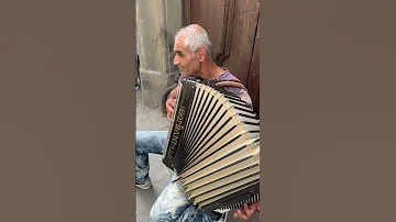Solo Street Accordion Player In Florence Italy Shorts Accordionplayer 