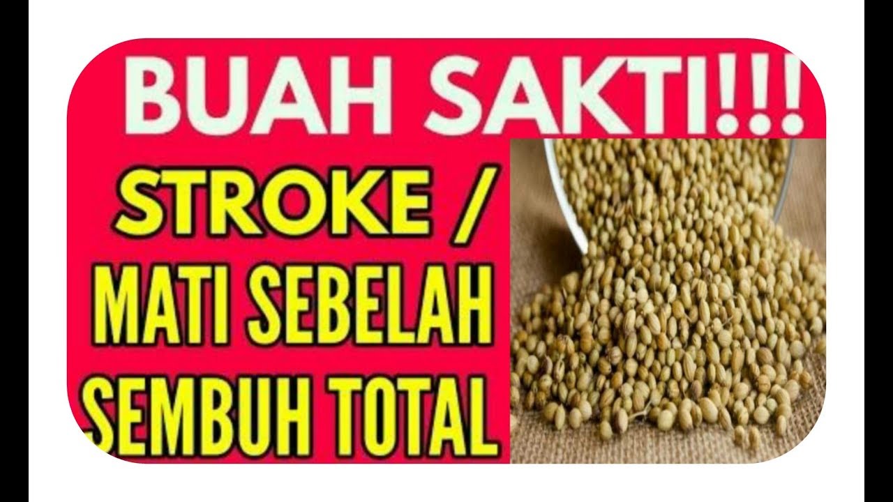 Mengobati stroke dan Mati sebelah dgn air rebusan Ketumbar 