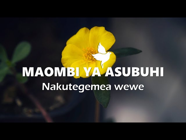 MAOMBI YA ASUBUHI | Nakutegemea wewe class=