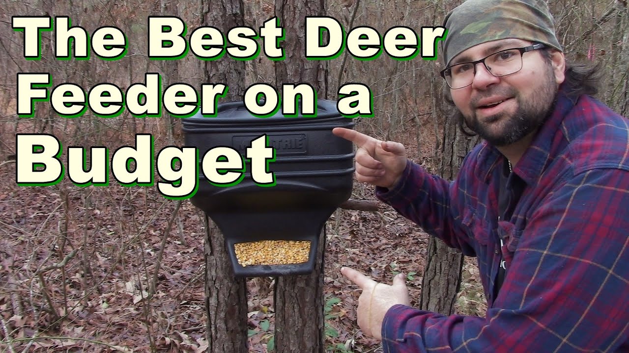 The Greatest Deer Feeder On A Budget - YouTube