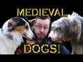 Medieval DOGS were AMAZING!