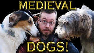 Medieval DOGS were AMAZING!