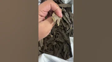 عود هندي سيوفي 