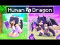 From HUMAN To DRAGON Story In Minecraft!