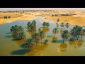 Sahara Desert Was Dry for 50 Years, Now It's Flooded! How Come?