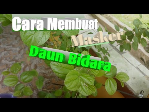 Koleksi Cemerlang 20 Cara  Buat Hiasan Kepala Dari  Daun 