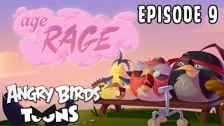 Angry Birds Toons | Age Rage - S3 Ep9