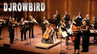 DJRoWbird - violino canção