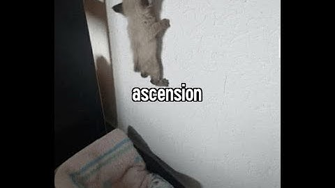 Terrible Picross Touch 5x5 speedrun