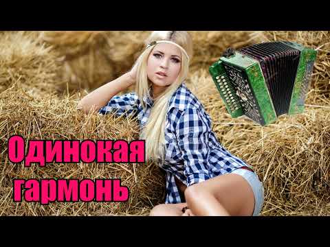 Formatia Curnut (Группа Курнуц) - Одинокая гармонь ,снова замерло всё до рассвета #курнуц #curnut