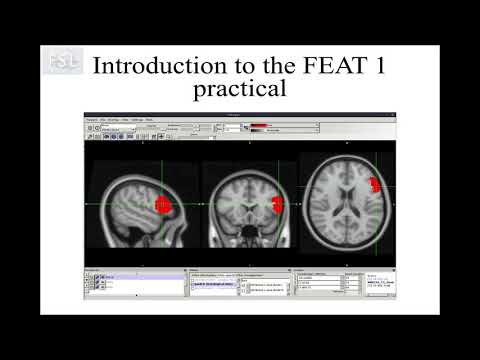 FMRI 1: Pre-practical Introduction Video