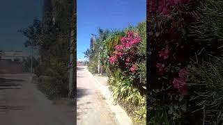 #short otro lugar muy bonito son munisipios de ayotlan jalisco la ladera chica