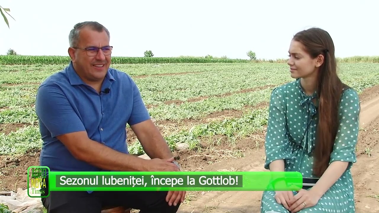 AGRO NOVA Sezonul lubeniței, începe la Gottlob! 15 06 2025 AGRO NOVA Sezonul lubeniței, începe la Gottlob! 15 06 2025