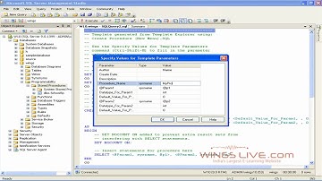 ASP.net 2008 - Stored procedure with Parameters - Wingslive