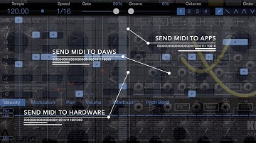 StepPolyArp Introduction