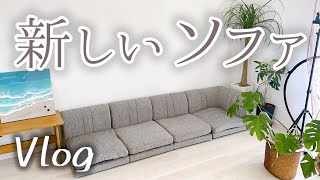 【Vlog】新しいソファを組み立てた～楽天で買ったコンパクトなローソファ～