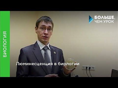 Люминесценция в биологии