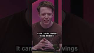 Brennan's Got Bird Facts