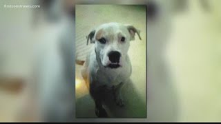 Jacksonville family grieving after dog shot, killed by police