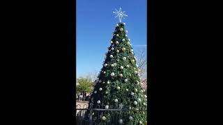 My beautiful and scenic view on the train ride at McCormick and Stillman Park in Scottsdale, AZ.