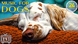 24 Hours of The Best AntiAnxiety Music for Dogs: Sleep Music for Dogs & Calm Stress with Dog Music