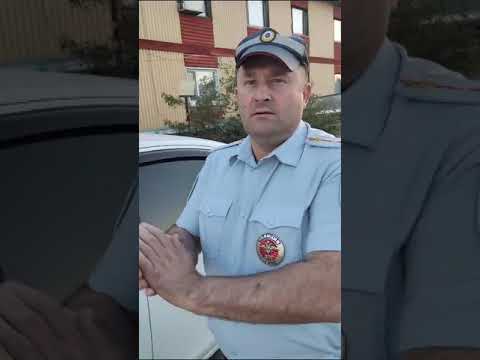 Пангоды,Легавые которые берега попутали