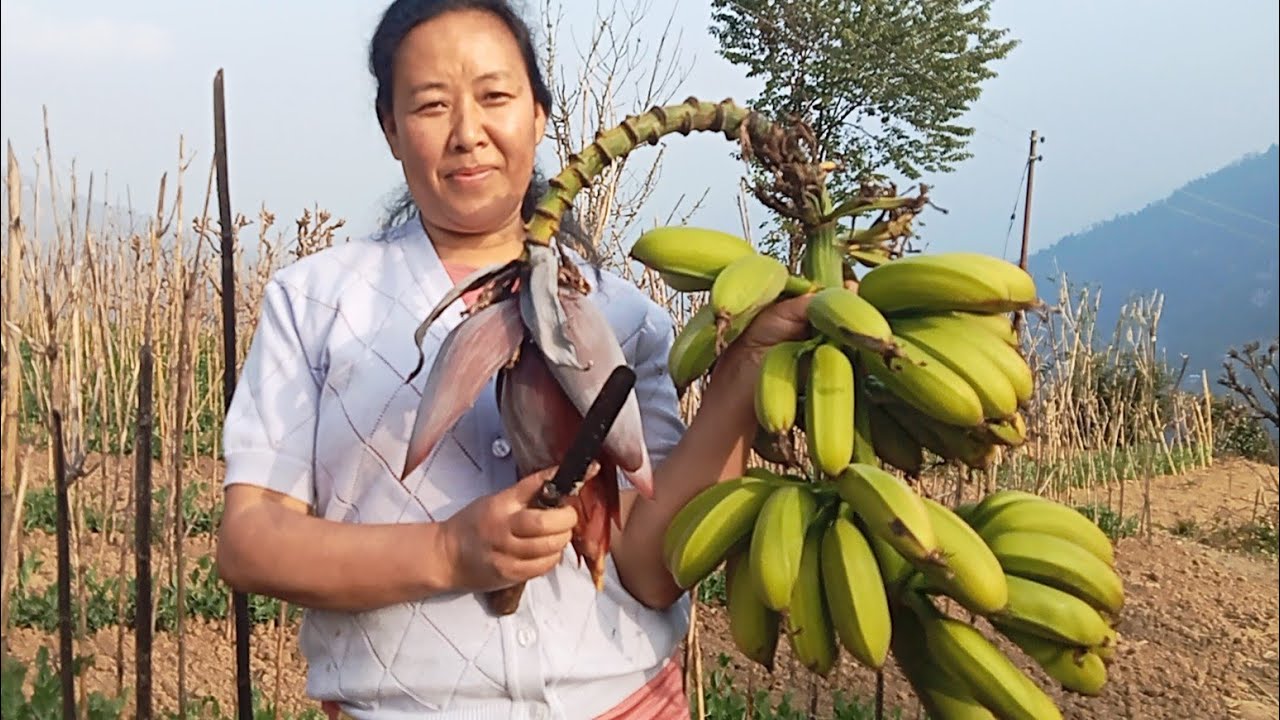 Harvesting vegetables, making banana chips & more