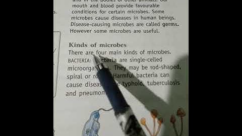 Class 4 Chapter 2 part 2 ("Teeth and microbes")